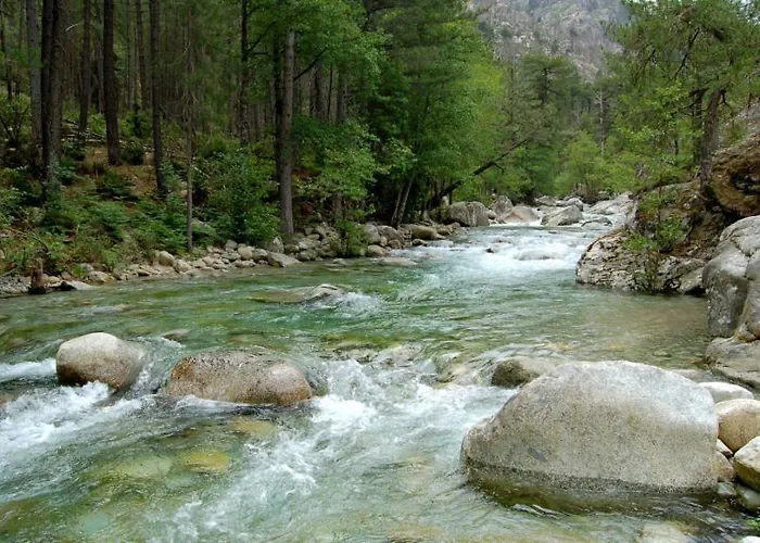 Casa Di A Volpe Apartment